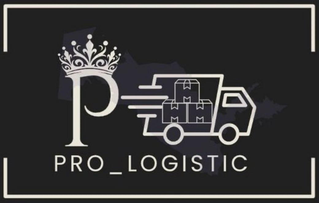 Pro Logistic Team